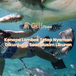 Kenapa Lombok Tetap Nyaman Dikunjungi Saat Musim Liburan