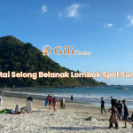Pantai Selong Belanak Lombok Spot Surfing