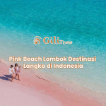 Pink Beach Lombok Destinasi Langka di Indonesia