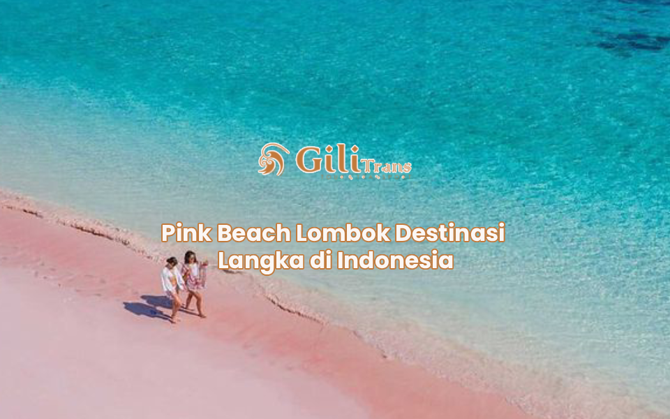Pink Beach Lombok Destinasi Langka di Indonesia