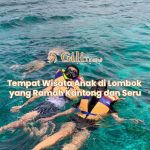 Tempat Wisata Anak di Lombok yang Ramah Kantong dan Seru