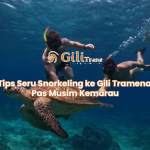 Tips Seru Snorkeling ke Gili Tramena Pas Musim Kemarau