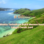 Waktu Terbaik ke Bukit Merese Saat Langit Cerah Juni